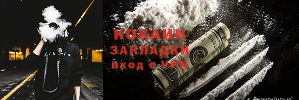 шишки Нея