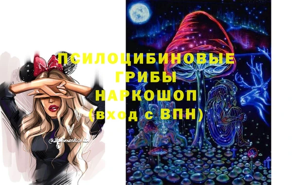 спайс Надым