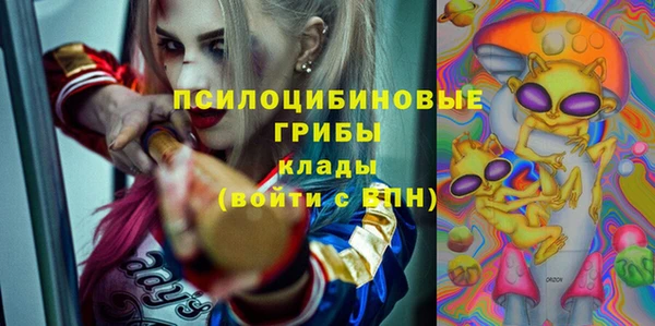 шишки Нея