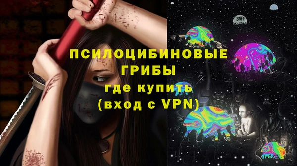 шишки Нея