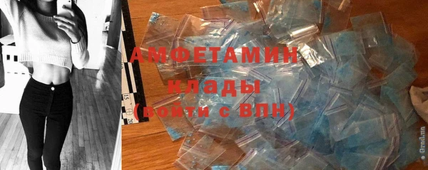 шишки Нея