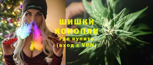 шишки Нея