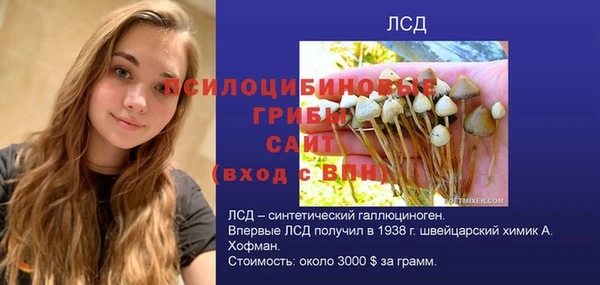 шишки Нея