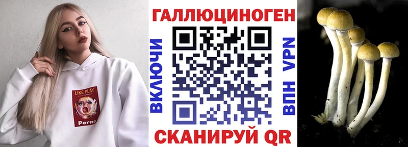 Псилоцибиновые грибы мухоморы  Новосиль 