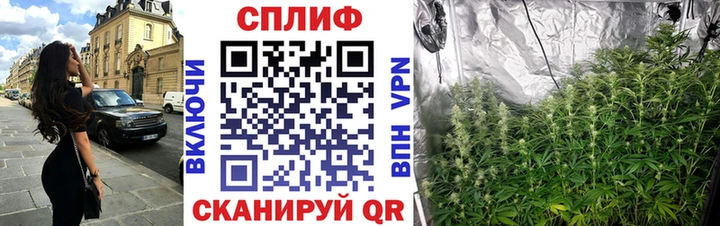 где найти   Новосиль  Марихуана индика 